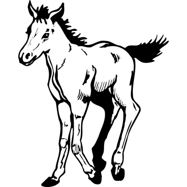 HORSE044 Thumbnail