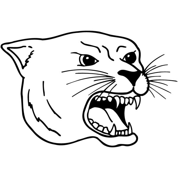 CAT17 Thumbnail