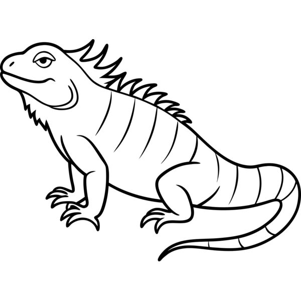 Iguana   Clipart 1 Thumbnail